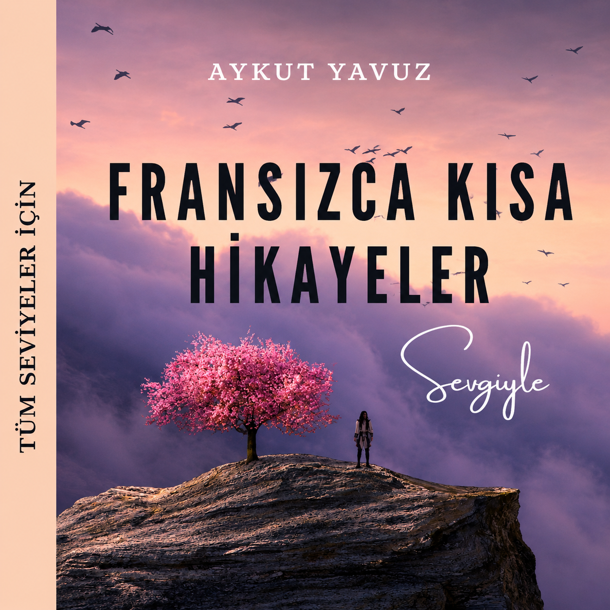 FRANSIZCA KISA HİKAYELER                                                                                                                                                                                                                                  
